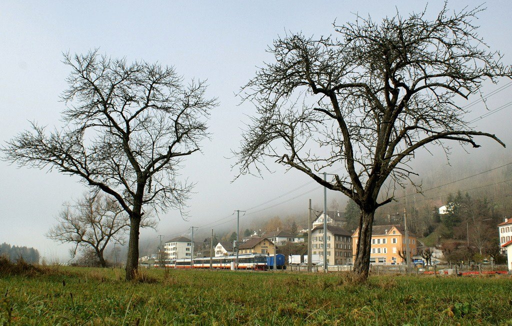 A RTV NPZ in Noiraige.
19.11.2009