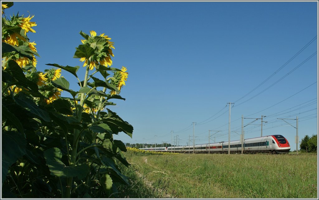 ICN by Pieterlen. 31.07.2013