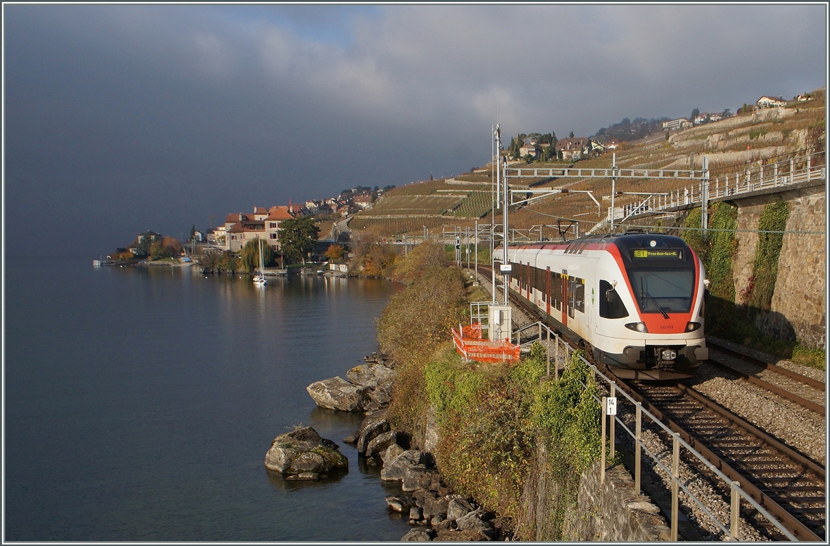 A Flirt near Rivaz.
22.11.2014