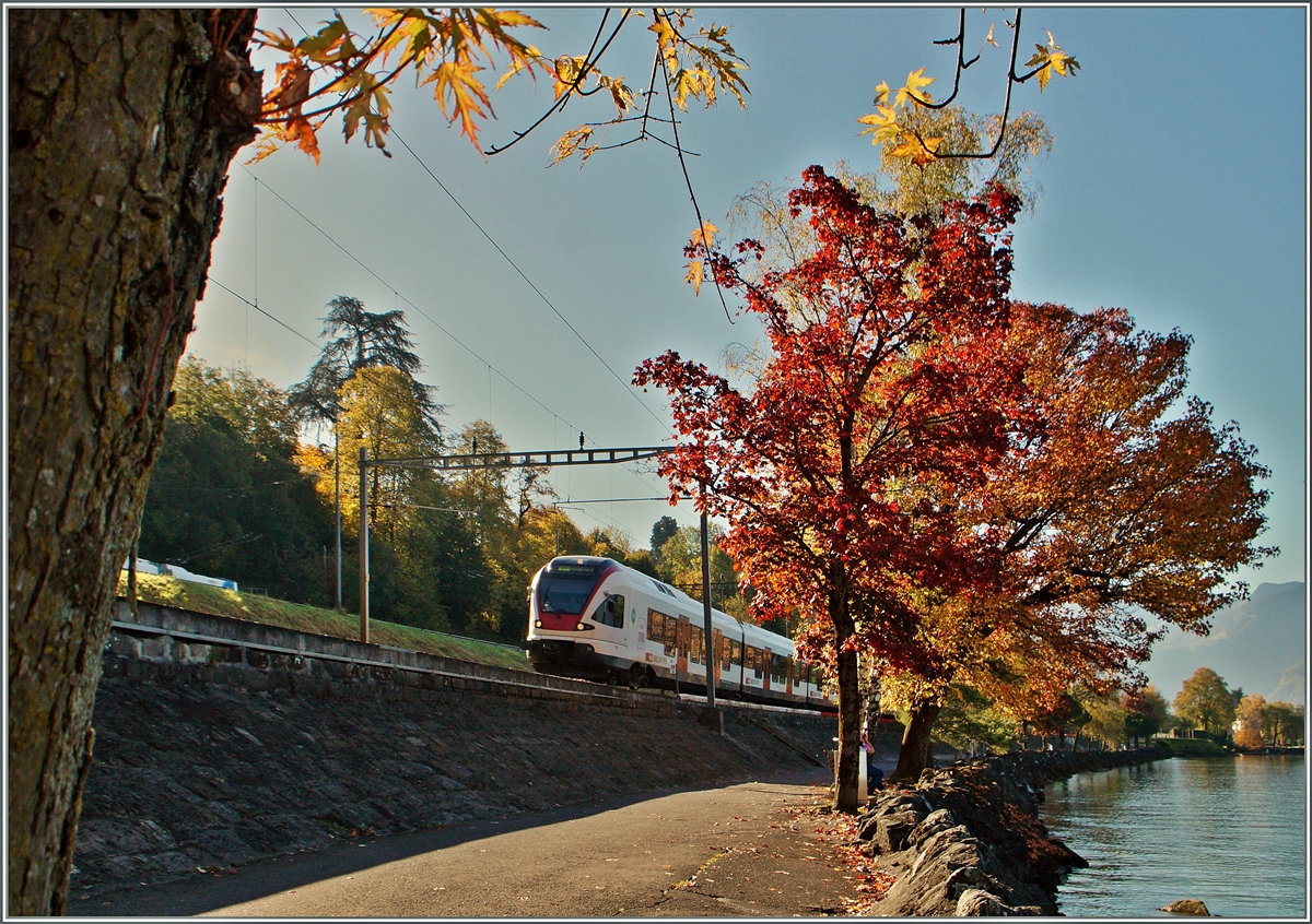 A Flirt near Vileneuve.
01.11.2014