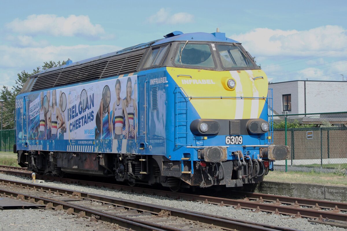 INfraBel 6309 carries the  Belgian Cheetas  livery in support of the Belgian Olympic team and is seen at Baasrode Noord on 6 JUly 2024.