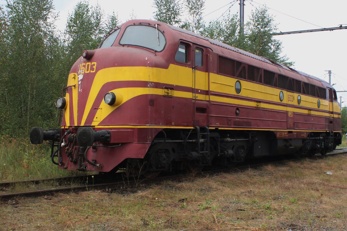 On 17 August 2024 ex-CFL 1603 stands in the PFT-TSP Retrotrain museum at Saint-Ghislain. Oddly enough, PFT-TSP has another former CFL NoHAB in the guise ogf 202.020 (ex CFL 1602).