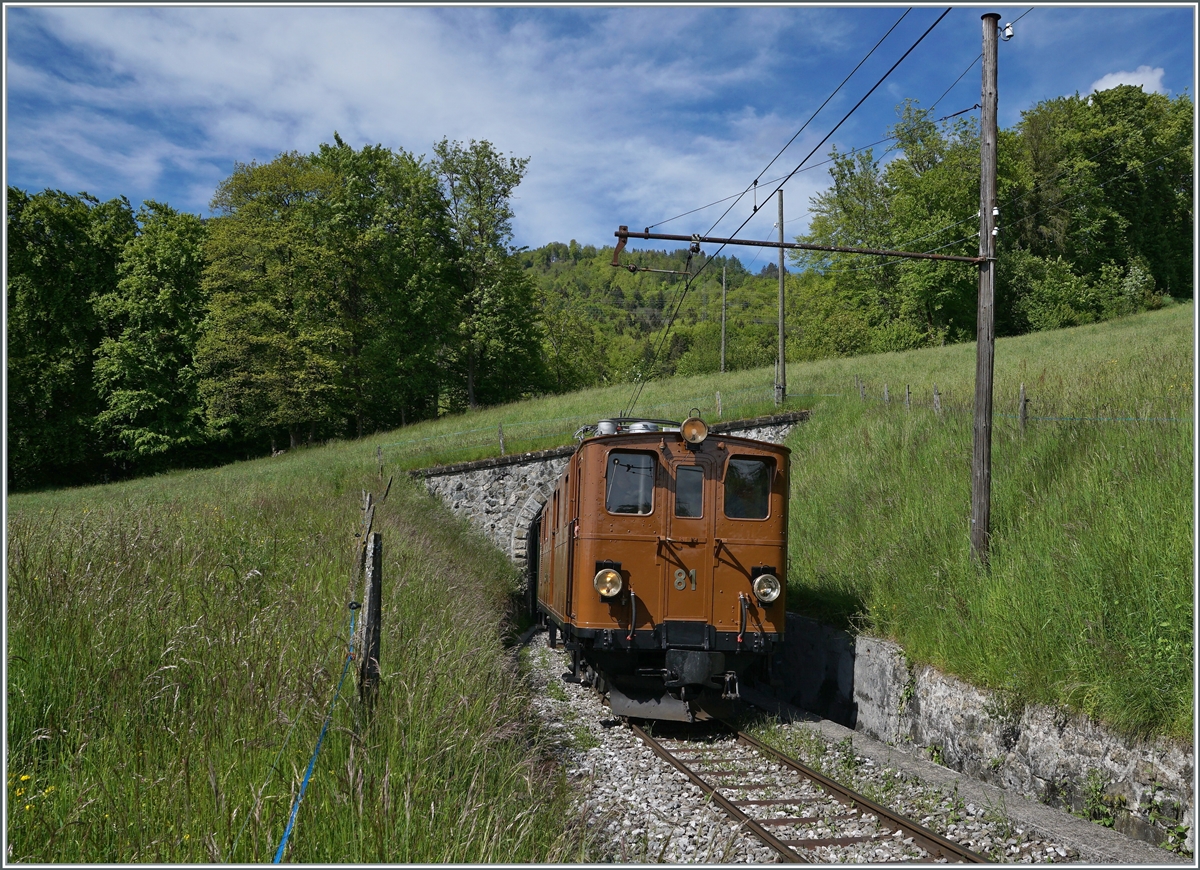 The RhB Bernina Bahn Ge 4/4 81 by the Blonay-Chamby Railway on the way to Chamby by Cornay. 

23.05.2021