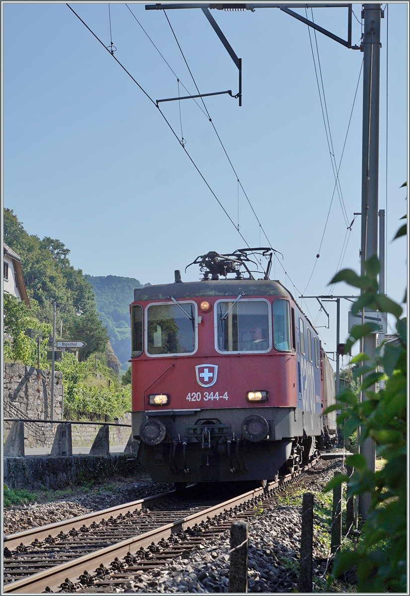 The SBB Re 4/4 II 11344 (Re 420 344-4) is near Ligerz on the way in direction to Neuchâtel. 

11.07.2025