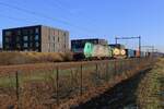 LTE 186 221 hauls a container train through Tilburg-Reeshof on 10 January 2025.