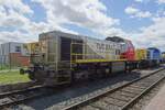 TUC Rail/InfraBel 7800 stands at Baasrode Noord as part of an exhibition on 6 July 2024 during the  Scheldeland in Stoom  Weekend.