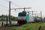 CoBRa 2827 passes through Antwerpen-Noorderdokken on 29 August 2013.