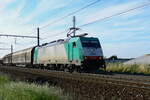 NMBS HLE28 The 2843 with a freight train coming from Antwerp habor with destination Germany.
19-07-2010