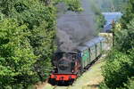 CFV3V The MF83 together with the 158 leaving Treignes on his way to Mariembourg.
18-07-2010.