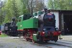 Little steamer 213 902 stands in the railway museum of Luzna u Rakovnika on 11 May 2024.