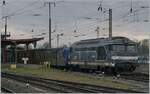 Each picture could be the last... The shapely, but now neglected, SNCF BB 67591 provides its TER 831330 to Saint Dié des -Vosges in Strasbourg. 

March 12, 2024