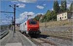 The akiem PRIMA E 37 519 arrives at Bellegarde station as a locomotive. The locomotive will likely pick up a mineral water train in Thonon or Evian. A look at the overhead line reveals that it is very simply constructed on the sidings, with only one contact wire and no suspension cable.

August 26, 2024