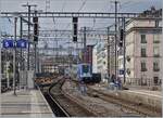 The SNCF Z24584 (Computer mouse) reaches Geneva train station as TER. 

August 20, 2024