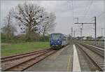 The SNCF narrow-gauge diesel multiple unit X 74503 is arriving at the Gièvres train station      April 7, 2024