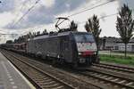 On 31 August 2014 TX Logistics 189 283 hauls an overnight train through Zevenaar toward Arnhem and Utrecht.