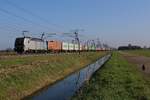 The dog (right) almost beats KRE 193 144 with her containertrain passing through Angeren on 25 October 2024.