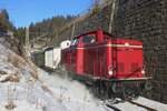 V 100 1019 hauls an extra train from Titisee into Seebrugg on 30 December 2024.