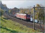 The DB 185 137-7 with the Novels Cargo train on the way to Göttingen near Villeneuve.