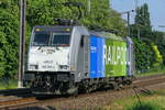 Lineas 186 295 Bombardier Traxx with Railpool livery.