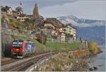 The 193 054, leased to SBB Cargo, is on its way towards Vevey as a locomotive between Rivaz and St-Saphorin.