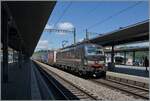 The SBB Cargo International 193 701 drives a freight train towards Italy through the BLS train station in Spiez.