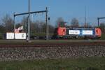Test ride for automatic train driving with 193 348 on the Betuweroute freight artery at Valburg on 5 March 2026.
