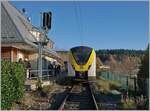 The DB 1440 172 and another at the stop in Schluchsee. The train is on the way to Seebrugg. 
The picture was taken on the entrance to the platform after the barrier opened.

Nov 13, 2022