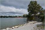 A DB 426 reaches Lindau Insel train station via Lake Damm.