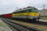 GySEV 430 326 stands with a freight in Györ on a rainy 16 September 2024.