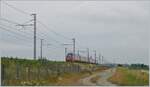 The .itlao NTV high-speed train ETR 675 002 whizzes past Livorno Ferraris on the high-speed line, with the dark wine red of the train creating a rather borderline image with the little light and the