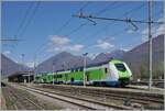 In Domosossola is waiting a Trennord ETR 421  Rock  to his departure to Milan. 

04.04.2025  