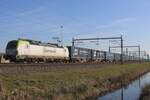 Captrain 193 784 is rented by RFO and hauls a container train from Katy (near Wroclaw) through Valburg on 9 March 2025.