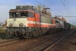 On 24 November 2023 RFO 1831 hauls 1828 and a cereals train bound for Oss through Wijchen.