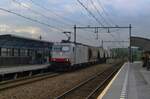 CRS 186 239 hauls a cereals train through Nijmegen-Dukenburg on 14 September 2012 -just a week before CRS's  downfall into bankrupcy.