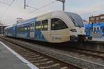 Frog;s  view on Arriva 413 at Zwolle on a grey 29 November 2024.