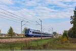 27.10.2024 | Sitno - ED160-010 is heading towards Międzyrzec Podlaski.