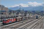 The SBB Re 4/4 II 11294 (Re 420 294-1) '100 Years of Circus KNIE' shunts a local freight train in Spiez. There is a flat freight wagon available to pick up at the BLS depot.
July 23, 2024
