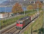 The SBB  Cargo Re 4/4 II 11243 (Re 420 243-8) 'Wartung mit Durchblick' with his Cargo Train near Villeneuve.

14. Nov. 2024