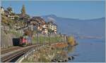 Shortly before St Saphorin, the SBB Re 6/6 11669 (Re 620 069-5) 'Hägendorf' is on its way towards Valais. Nov 15, 2024