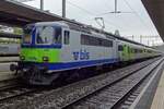 ON 28 May 2019 BLS 420 502 calls at Spiez with a former Swiss-Express train to Interlaken Ost. Awaiting the delivery of new EMUs, BLS bought some Swiss-Express train sets and Re 4/4II of the first batch (11101-1115, recognisable by the single pantographs), recreating these once crack SB B fast trains -albeit in BLS colours and for regional services instead.  ON 28 May 2019 BLS 420 502 calls at Spiez with a former Swiss-Express train to Interlaken Ost. Awaiting the delivery of new EMUs, BLS bought some Swiss-Express train sets and Re 4/4II of the first batch (11101-1115, recognisable by the single pantographs), recreating these once crack SB B fast trains -albeit in BLS colours and for regional services instead.