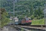 The SBB Re 4/4 II 11278 (Re 420 278-4)  Cham  is traveling with a freight train near Villeneuve towards Valais.

July 15, 2024