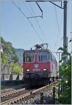 The SBB Re 4/4 II 11344 (Re 420 344-4) is near Ligerz on the way in direction to Neuchâtel.