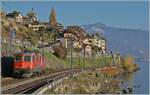 The SBB Re 4/4 II 1129 (Re 420 291-1)  KNIE  on the way in the direction of Villeneuve by St Saphorin.