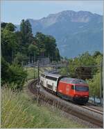 A SBB Re 460 with his IR 90/95 is near Vileneuve on the way to Geneva Airport. 

28.05.2025