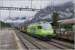 In Kandersteg, the two BLS Re 4/4 192 and 184 as well as the BLS Re 465 004 are waiting for a new mission.