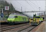 The BLS Re 465 002 with his Auto-Tunnel shuttle and the BLS Tm 235 204-5 in Goppenstein. 12.09.2024