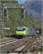 The BLS Re 465 013 is pushing a heavy freight train on the Simplon south ramp in Preglia.