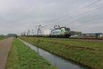 Take a good look at the scenery at Angeren, where on 24 October 2024 BLS 475 419 with diverted CargoBeamer intermodal train is passing.