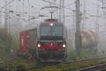 Misty! SBBCI XLoas 193 542 pops up out of the fog at Emmerich with a Kijfhoek bound container train on 23 October 2024.