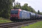 On 12 August 2025 SBB Cargo 482 014 hauls a tank train near Kaarst.